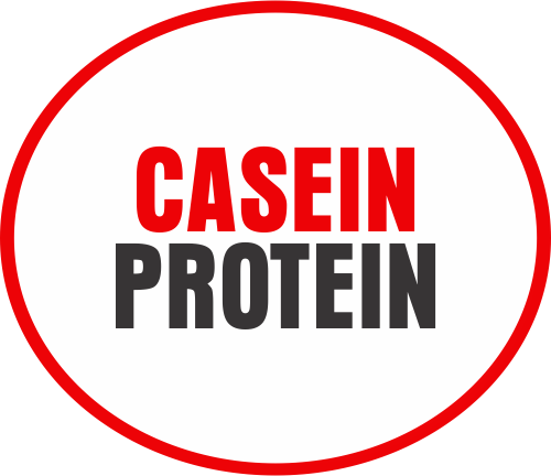 Casein Protein 